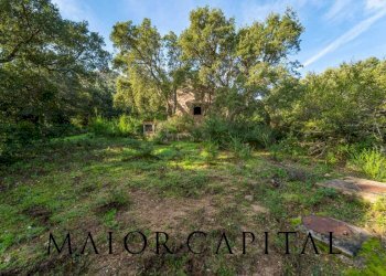 Terreno agricolo VIA LU PINU, Calangianus - foto 9