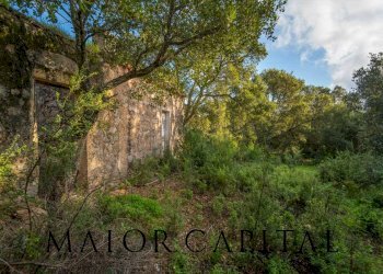 Terreno agricolo VIA LU PINU, Calangianus - foto 13