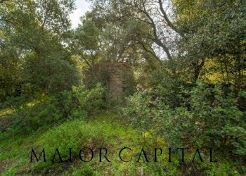 Terreno agricolo VIA LU PINU, Calangianus - foto 14