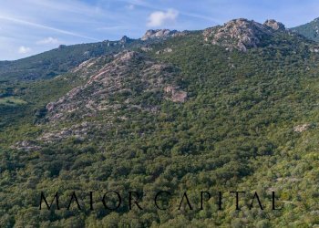 Terreno agricolo VIA LU PINU, Calangianus - foto 17