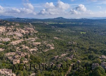 Terreno agricolo VIA LU PINU, Calangianus - foto 21