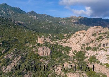 Terreno agricolo VIA LU PINU, Calangianus - foto 22
