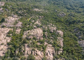 Terreno agricolo VIA LU PINU, Calangianus - foto 29