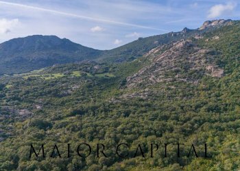 Terreno agricolo VIA LU PINU, Calangianus - foto 30