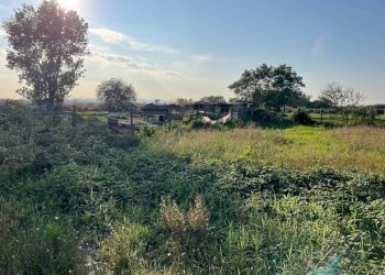 Terreno - Terreno agricolo via Adda, Acerra - foto 1