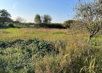 Terreno - Terreno agricolo via Adda, Acerra - foto 2