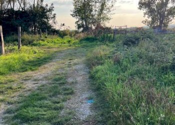 Terreno - Terreno agricolo via Adda, Acerra - foto 3