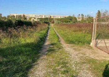 Terreno - Terreno agricolo via Adda, Acerra - foto 4