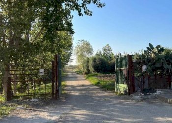 Zona - Terreno agricolo via Adda, Acerra - foto 6