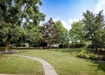 Giardino - Rustico strada Boetti Pasco, Villanova Mondovì - foto 18