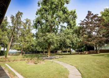 Giardino - Rustico strada Boetti Pasco, Villanova Mondovì - foto 19