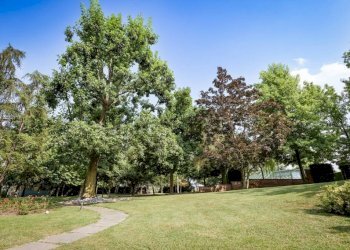 Terreno - Rustico strada Boetti Pasco, Villanova Mondovì - foto 20