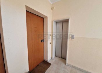 WhatsApp Image 2024-11-14 at 11.50.48.jpeg - Appartamento VIA ARCHITETTI DATTARO, Cremona - foto 11