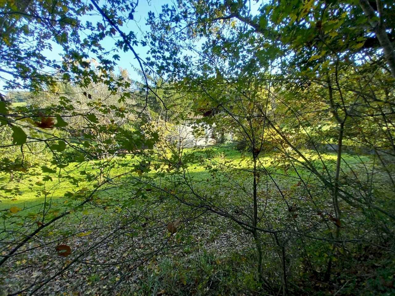 WhatsApp Image 2024-11-14 at 8.16.44 AM.jpeg - Villa Pennabilli - foto 2