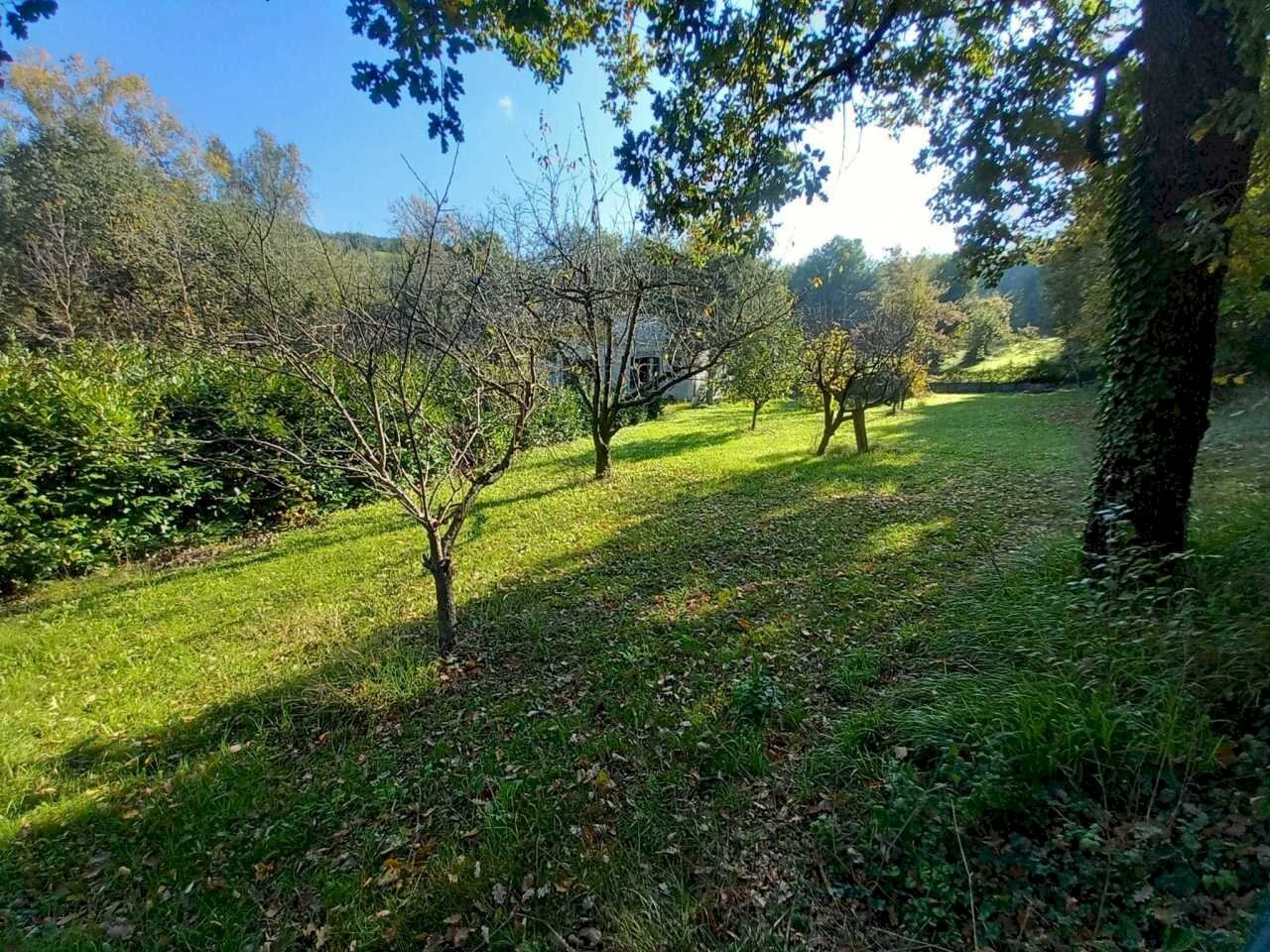 WhatsApp Image 2024-11-14 at 8.16.45 AM (1).jpeg - Villa Pennabilli - foto 3