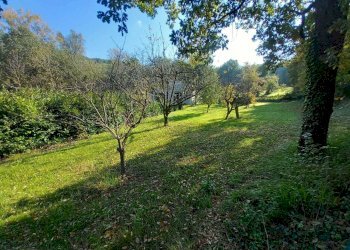 WhatsApp Image 2024-11-14 at 8.16.45 AM (1).jpeg - Villa Pennabilli - foto 3