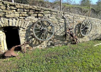 Casale Bosia - photo 33