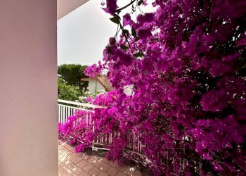 Quadrilocale Ceriale - foto 4