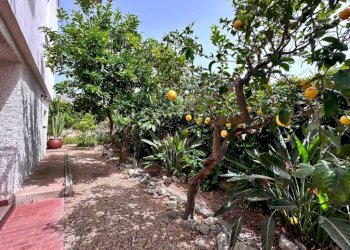 Quadrilocale Ceriale - foto 33