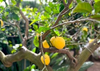 Quadrilocale Ceriale - foto 34