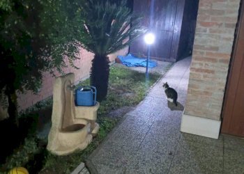 Porzione di casa Ferrara - foto 10