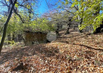 Rustico Frazione Oneglie, Sagliano Micca - foto 5