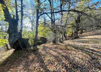 Rustico Frazione Oneglie, Sagliano Micca - foto 7