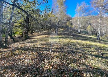 Rustico Frazione Oneglie, Sagliano Micca - foto 13