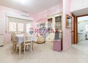 Trilocale Ladispoli - foto 5