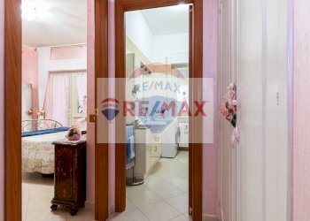 Trilocale Ladispoli - foto 7