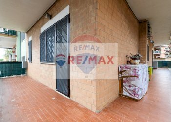 Trilocale Ladispoli - foto 22