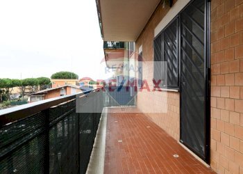 Trilocale Ladispoli - foto 23