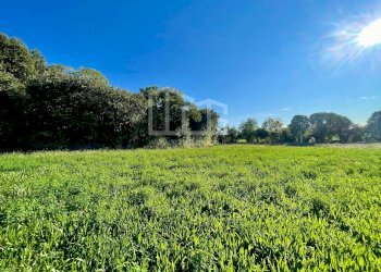 Terreno agricolo via dei bosche, Volta Mantovana - foto 1