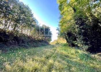 Terreno agricolo via dei bosche, Volta Mantovana - foto 2