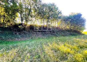 Terreno agricolo via dei bosche, Volta Mantovana - foto 3