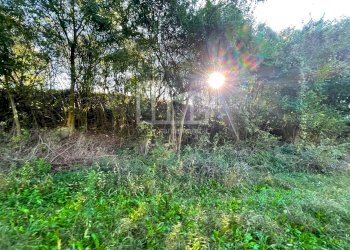 Terreno agricolo via dei bosche, Volta Mantovana - foto 4