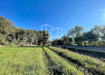 Terreno agricolo via dei bosche, Volta Mantovana - foto 5