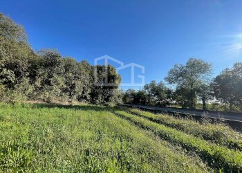 Terreno agricolo via dei bosche, Volta Mantovana - foto 6