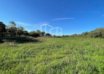 Terreno agricolo via dei bosche, Volta Mantovana - foto 7