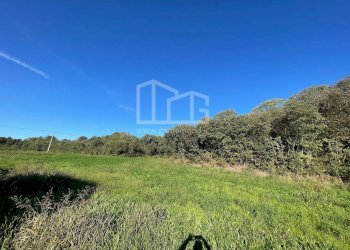 Terreno agricolo via dei bosche, Volta Mantovana - foto 8