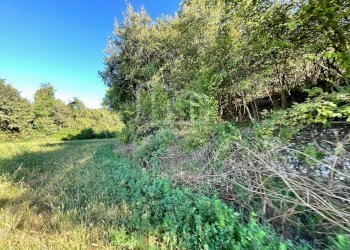 Terreno agricolo via dei bosche, Volta Mantovana - foto 9