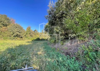 Terreno agricolo via dei bosche, Volta Mantovana - foto 10