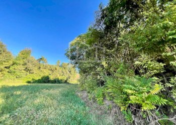 Terreno agricolo via dei bosche, Volta Mantovana - foto 11