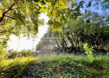 Terreno agricolo via dei bosche, Volta Mantovana - foto 12