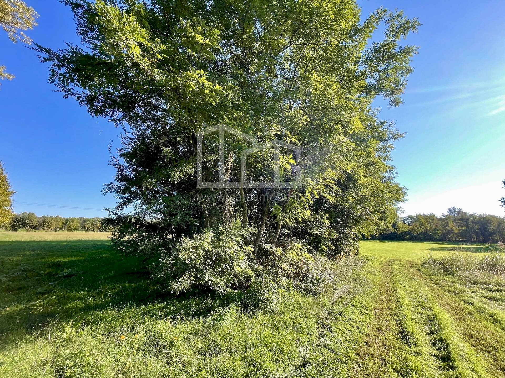 Terreno agricolo Via dei Boschi, Volta Mantovana - foto 2