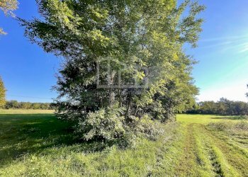 Terreno agricolo Via dei Boschi, Volta Mantovana - foto 2