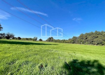 Terreno agricolo Via dei Boschi, Volta Mantovana - foto 4