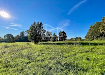 Terreno agricolo Via dei Boschi, Volta Mantovana - foto 5