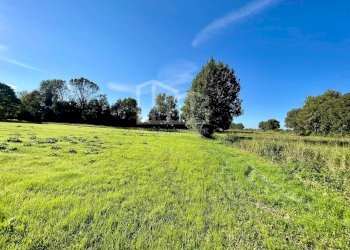 Terreno agricolo Via dei Boschi, Volta Mantovana - foto 7
