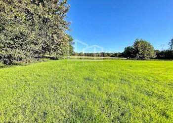Terreno agricolo Via dei Boschi, Volta Mantovana - foto 8